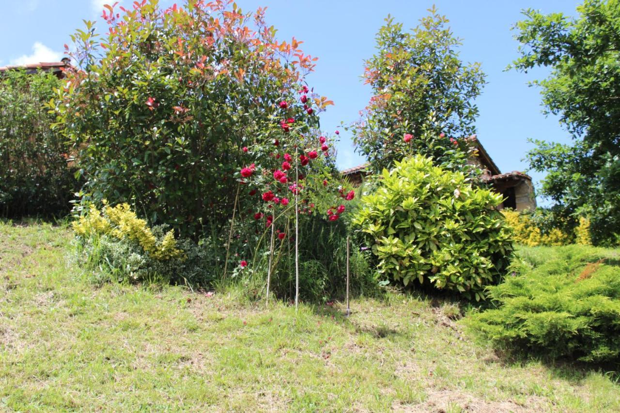El Refugio De Luena Villa San Miguel de Luena Eksteriør bilde
